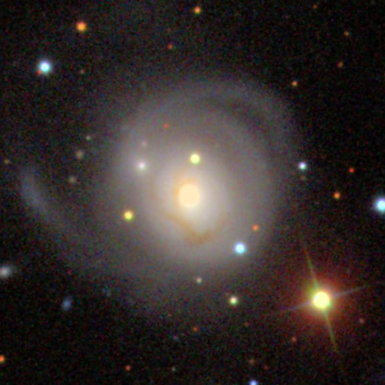 SDSS image of lenticular galaxy NGC 2507