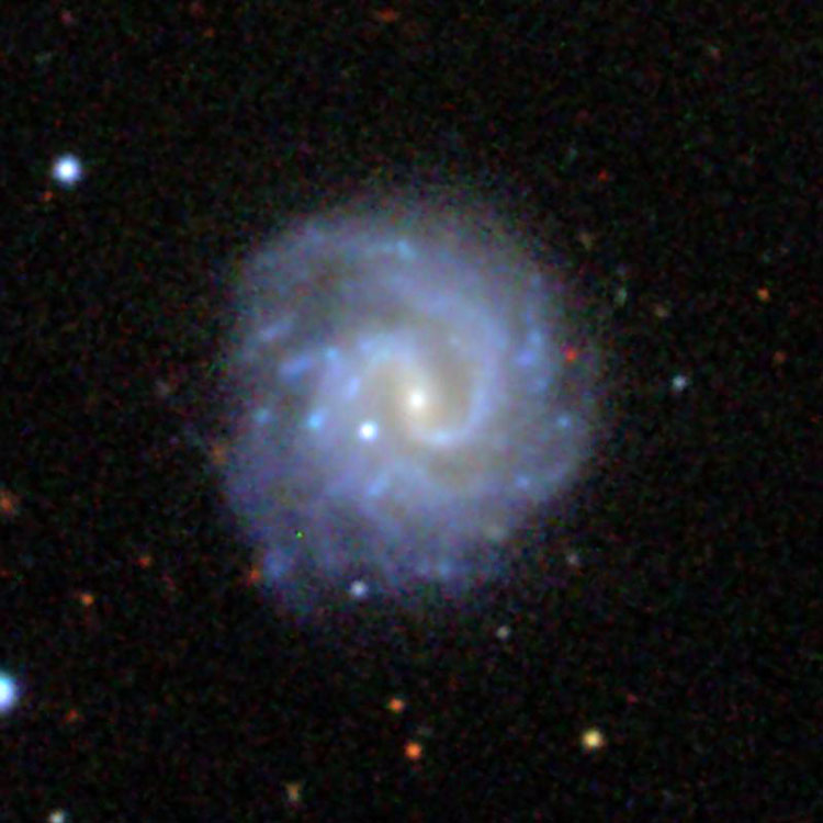 SDSS image of spiral galaxy NGC 2514