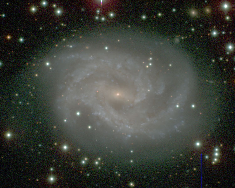 Carnegie-Irvine Galaxy Survey image of spiral galaxy NGC 2525