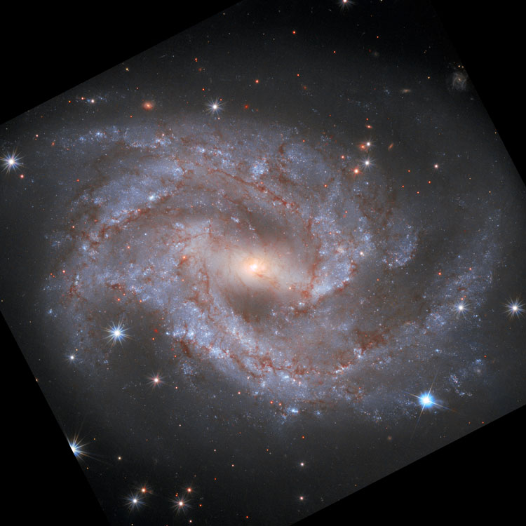 HST image of spiral galaxy NGC 2525