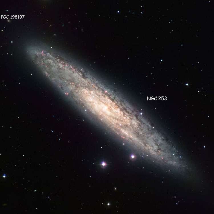 ESO image of spiral galaxy NGC 253, also known as the Sculptor Galaxy, or the Silver Dollar Galaxy, also showing the distant pair of galaxies listed as PGC 198197