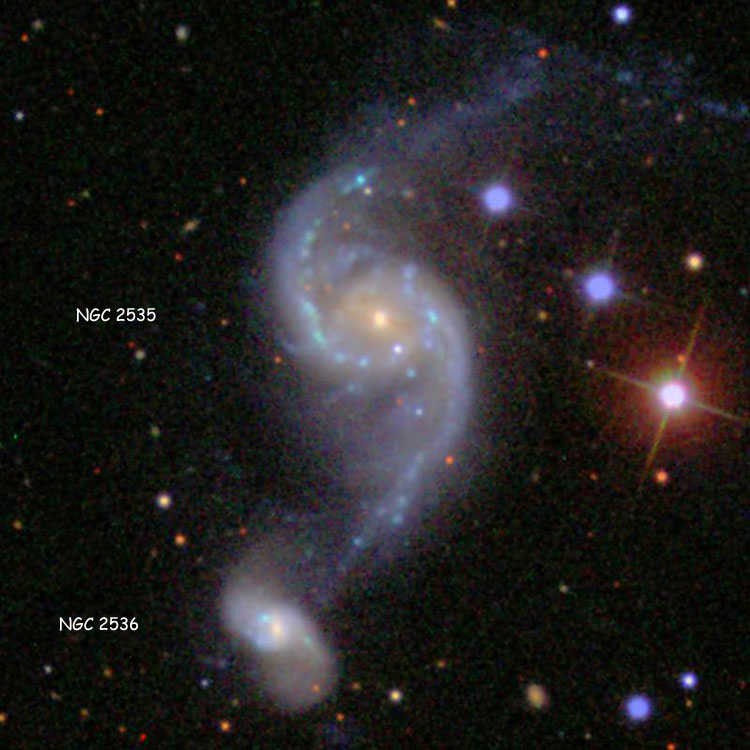 SDSS image of spiral galaxies NGC 2535 and 2536, also known as Arp 82