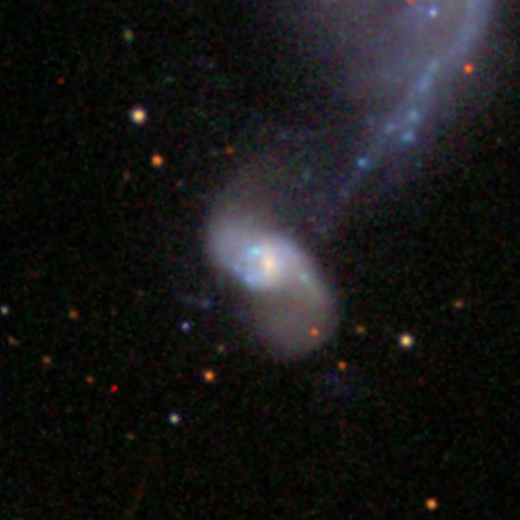 SDSS image of spiral galaxy NGC 2536 and the southeastern arm of NGC 2535, which comprise Arp 82