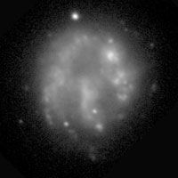 de Vaucouleurs Atlas of Galaxies image of page for NGC 2537