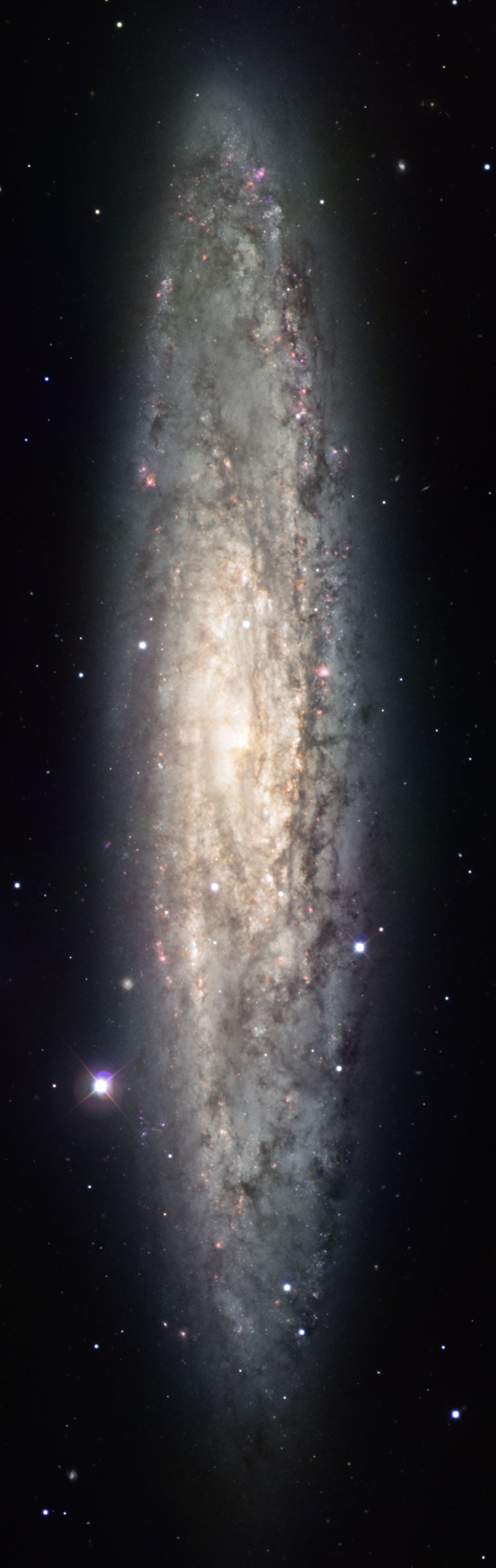ESO image of spiral galaxy NGC 253, also known as the Sculptor Galaxy, or the Silver Dollar Galaxy