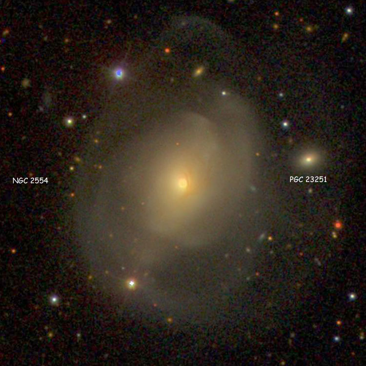 SDSS image of lenticular galaxy NGC 2554, also showing PGC 23251