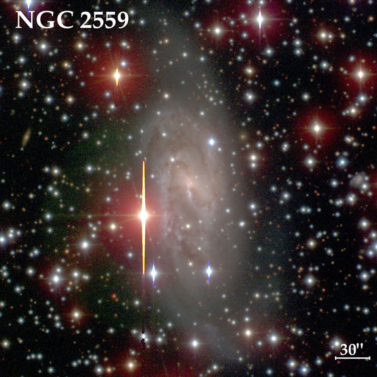 Carnegie-Irvine Galaxy Survey image of spiral galaxy NGC 2559