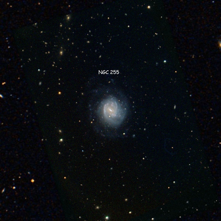 NOAO image of region near spiral galaxy NGC 255 superimposed on a DSS background to fill in missing areas