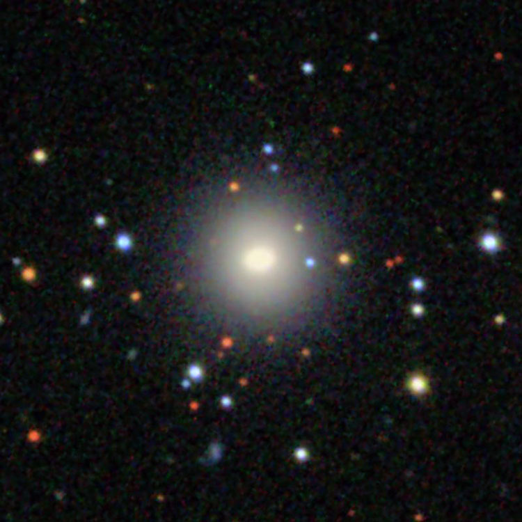 SDSS image of elliptical galaxy NGC 2583
