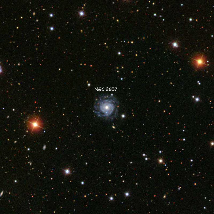 SDSS image of region near spiral galaxy NGC 2607