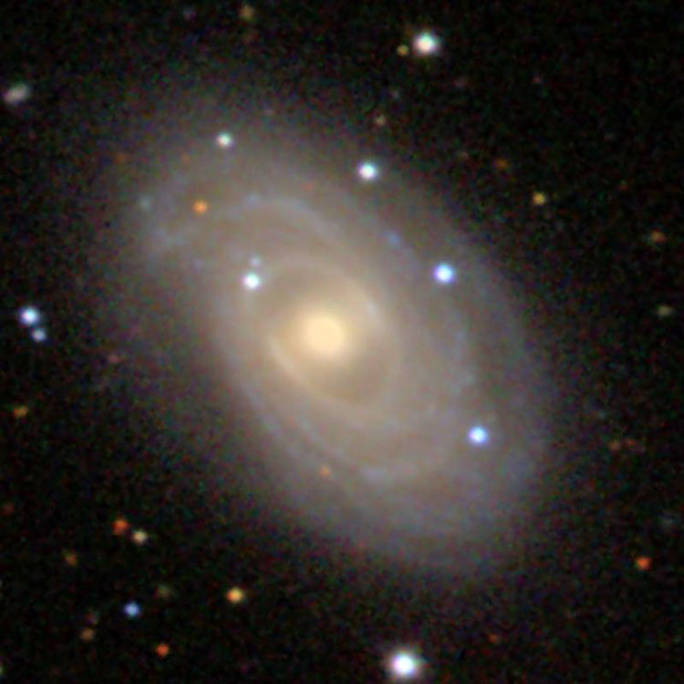 SDSS image of spiral galaxy NGC 2615