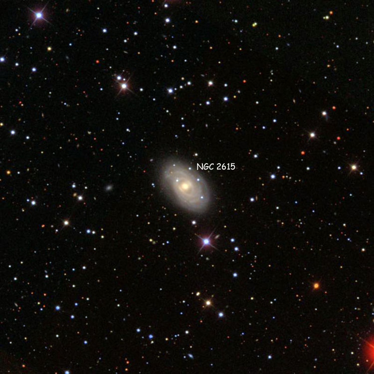 SDSS image of region near spiral galaxy NGC 2615