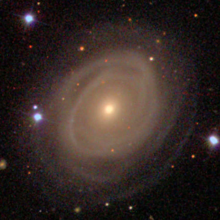 SDSS image of spiral galaxy NGC 2618