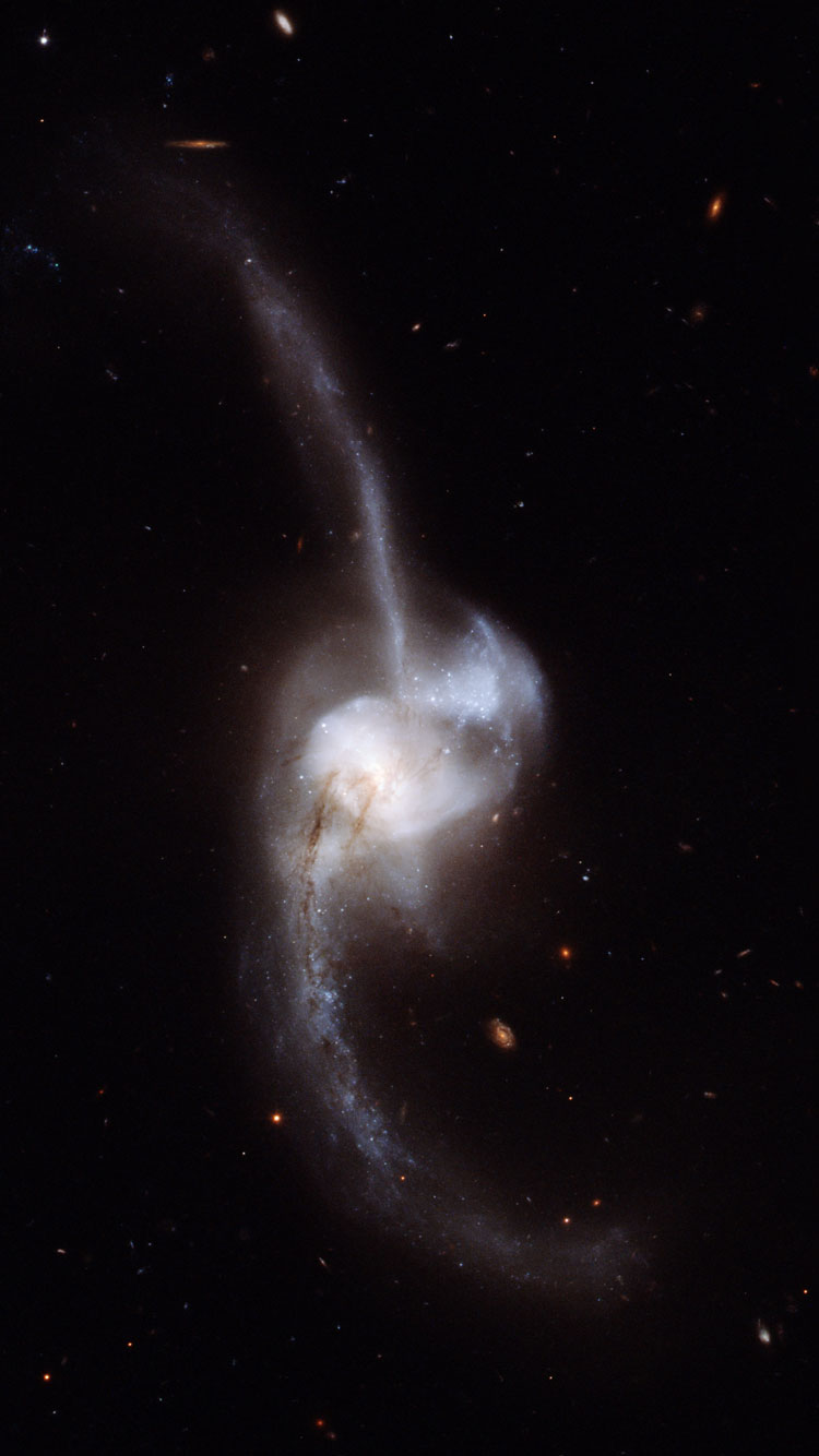 HST image of peculiar spiral galaxy NGC 2623, also known as Arp 243