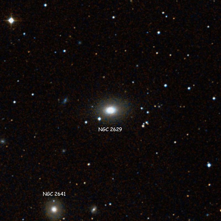 DSS image of region near lenticular galaxy NGC 2629, also showing NGC 2641