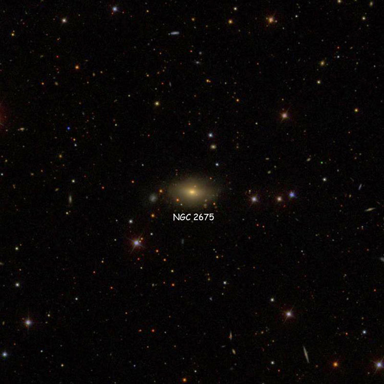 SDSS image of region near the lenticular galaxy NGC 2675