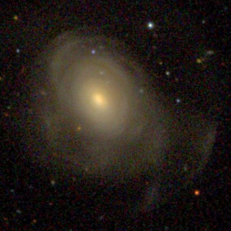 SDSS image of lenticular galaxy NGC 270