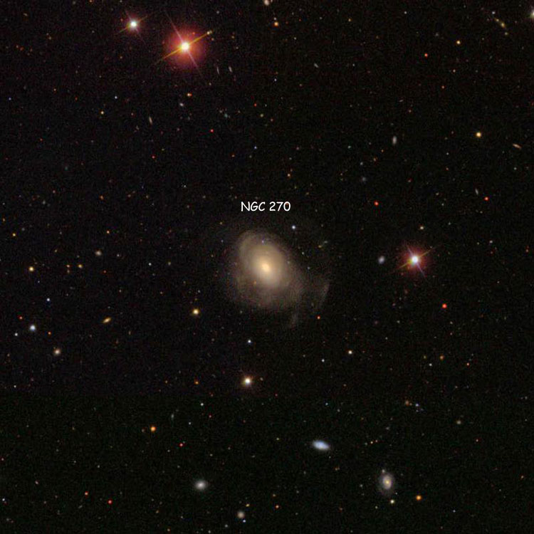 SDSS image of region near lenticular galaxy NGC 270