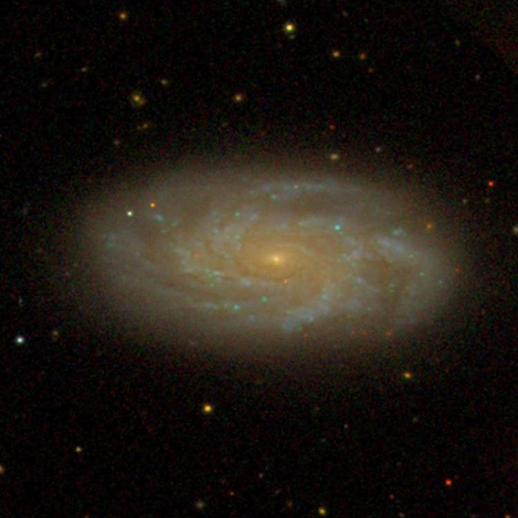 SDSS image of spiral galaxy NGC 2742