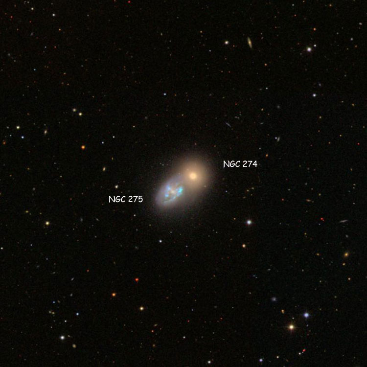 SDSS image of region near elliptical galaxy NGC 274 and peculiar spiral galaxy NGC 275, collectively known as Arp 140