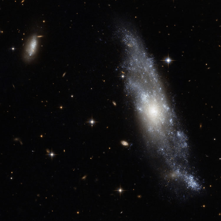 HST image of region near spiral galaxy NGC 2758, also showing irregular galaxy PGC 860667