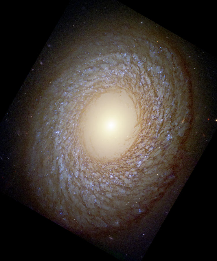 HST image of a portion of spiral galaxy NGC 2775