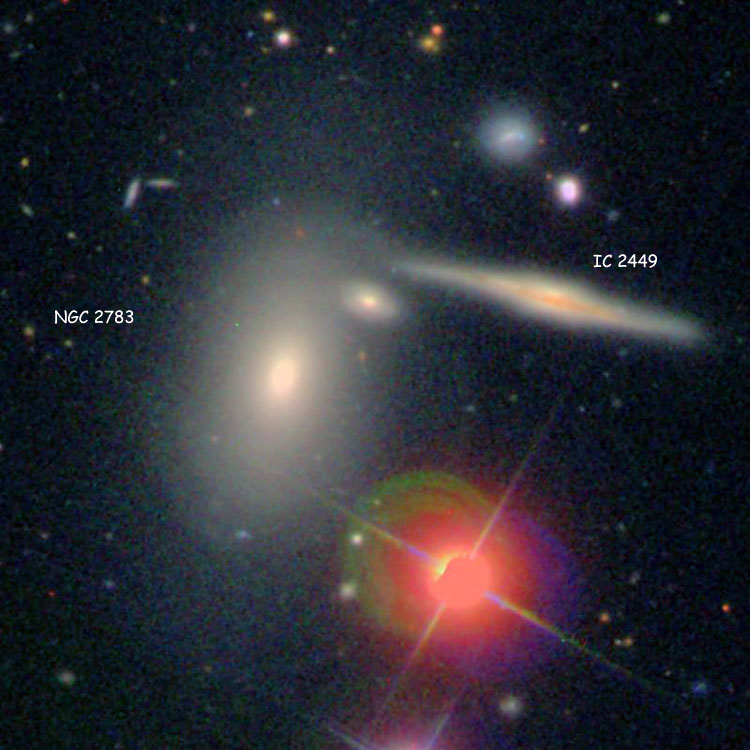 SDSS image of elliptical galaxy NGC 2783 and IC 2449, which is sometimes erroneously called NGC 2783B