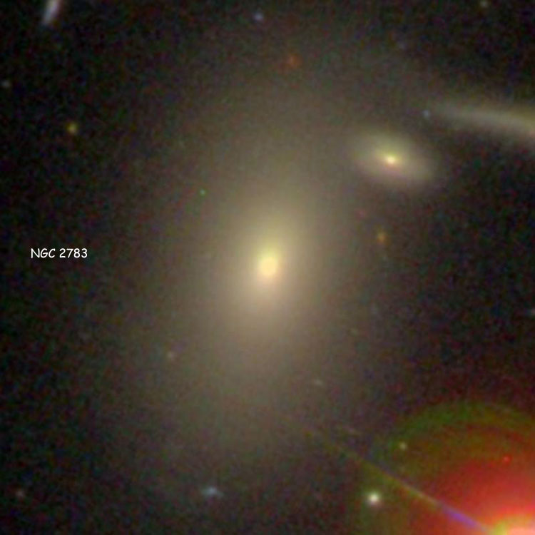 SDSS image of elliptical galaxy NGC 2783