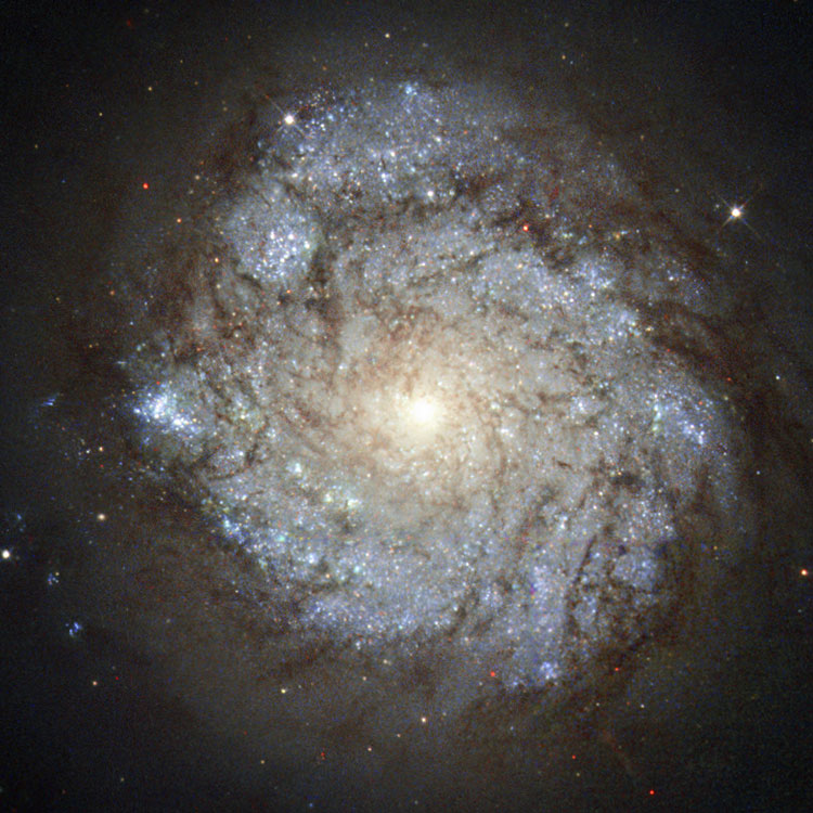 HST image of the nucleus of spiral galaxy NGC 278