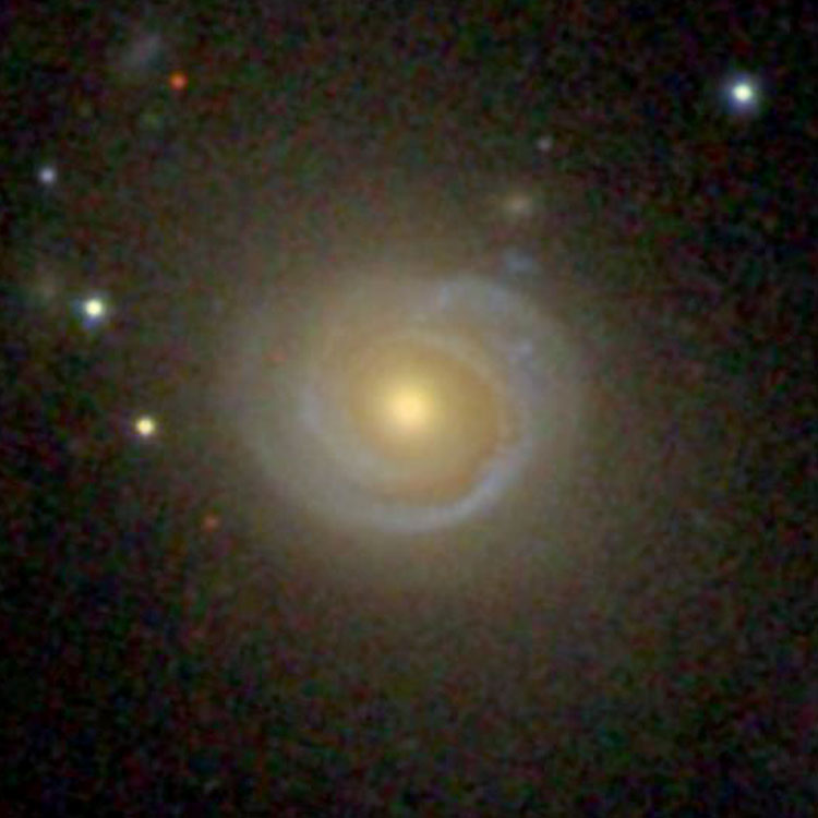 SDSS image of spiral galaxy NGC 2794
