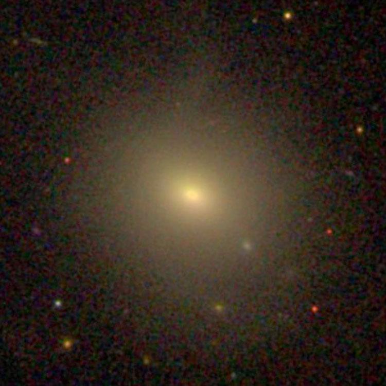 SDSS image of lenticular galaxy NGC 2804