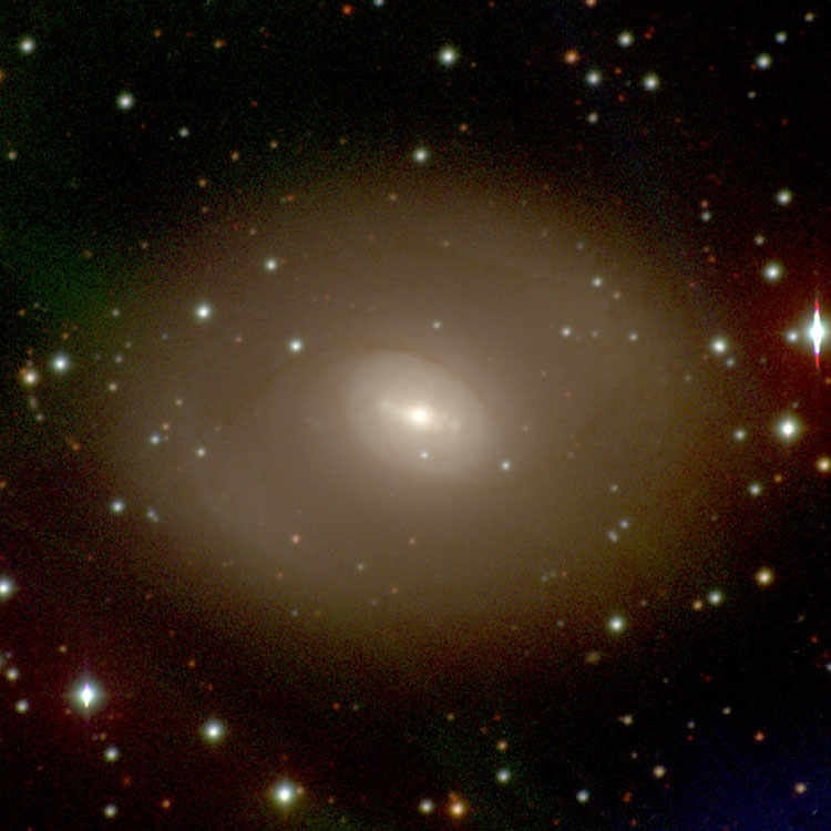 Carnegie-Irvein Galaxy Survey image of lenticular galaxy NGC 2822