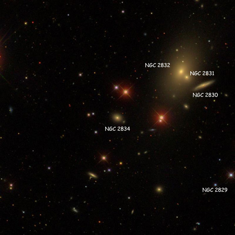 SDSS image of region near lenticular galaxy NGC 2834, also showing NGC 2829, NGC 2830, NGC 2831 and NGC 2832