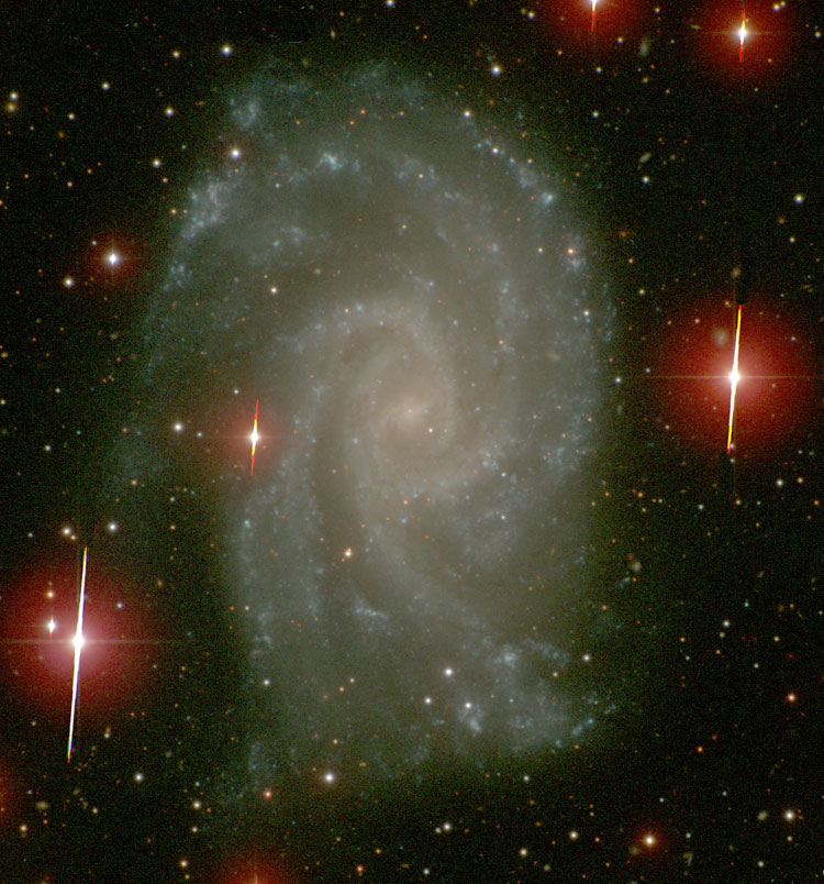 Carnegie-Irvine Galaxy Survey image of spiral galaxy NGC 2835