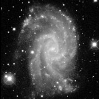 de Vaucouleurs Atlas of Galaxies image of NGC 2835