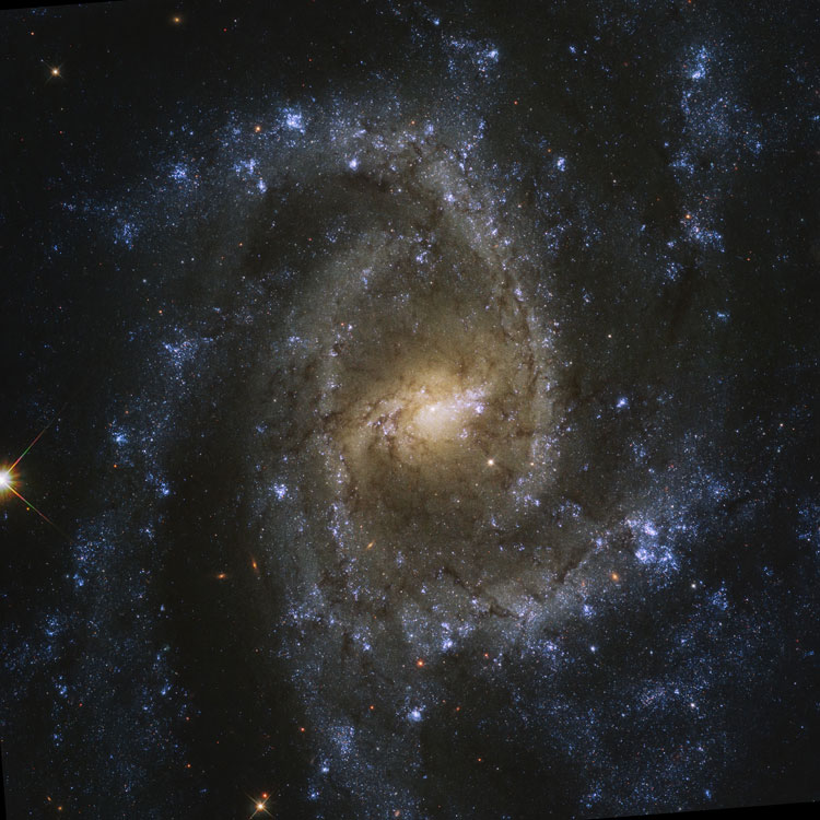 HST image of spiral galaxy NGC 2835