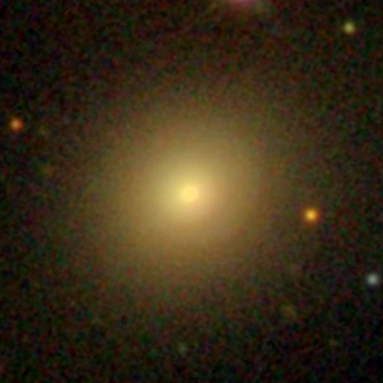 SDSS image of elliptical galaxy NGC 2838