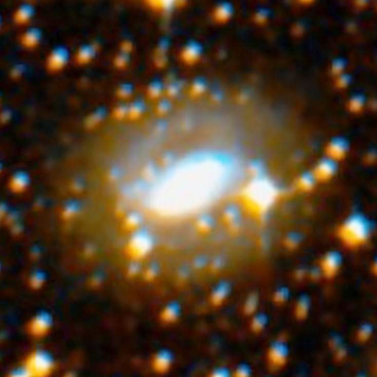 DSS image of lenticular galaxy NGC 2842