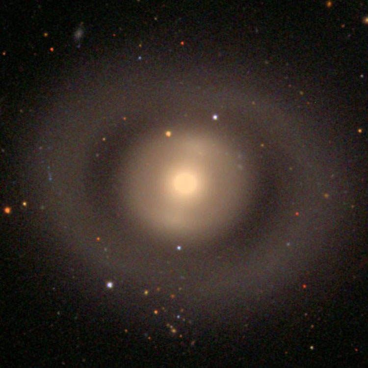 SDSS image of lenticular galaxy NGC 2859