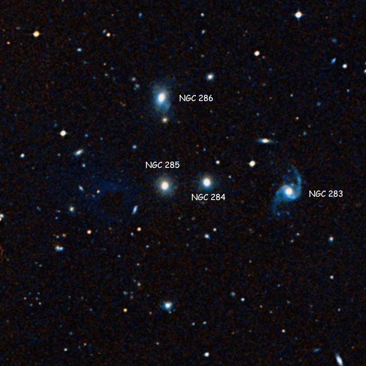 DSS image of region near elliptical galaxy NGC 284 and lenticular galaxy NGC 285, also showing NGC 283 and NGC 286