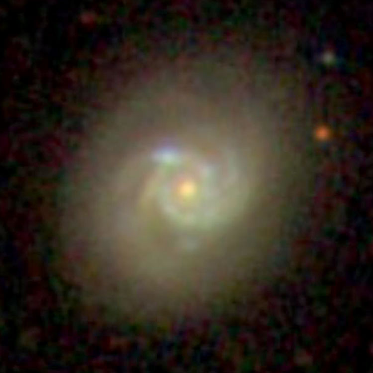 SDSS image of spiral galaxy NGC 2877