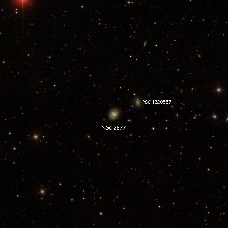 SDSS image of region near spiral galaxy NGC 2877, also showing PGC 1220557
