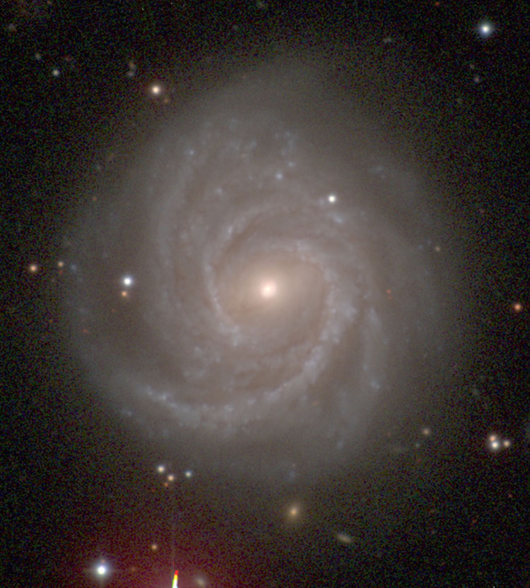 Carnegie-Irvine Galaxy Survey image of spiral galaxy NGC 2889