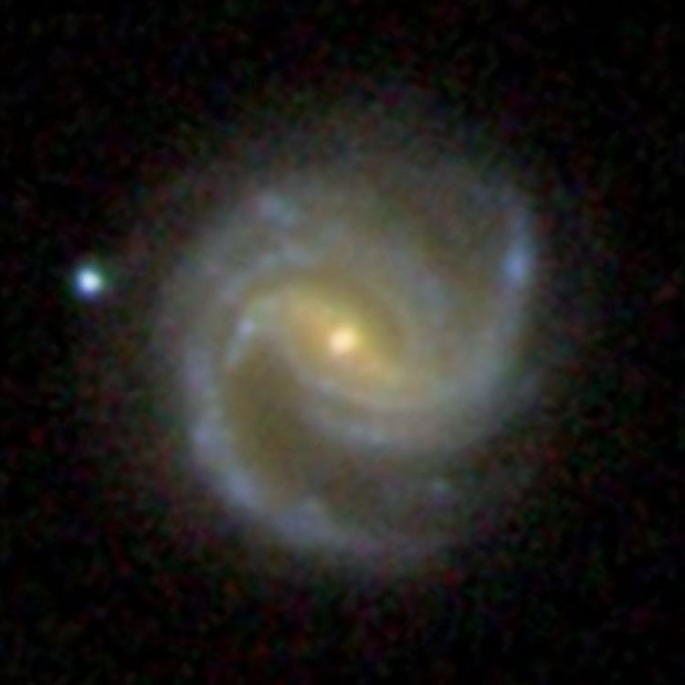 SDSS image of spiral galaxy NGC 2895