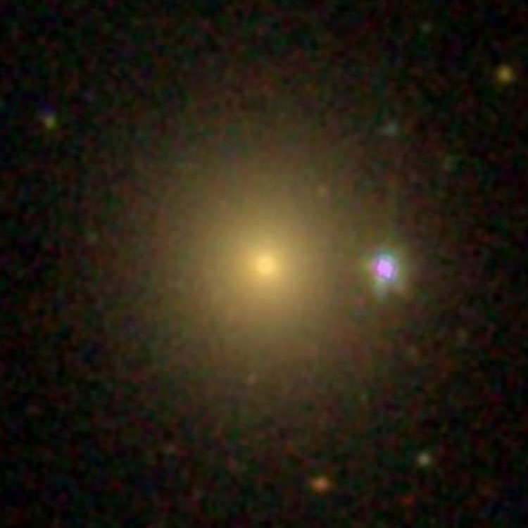 SDSS image of lenticular galaxy NGC 2896