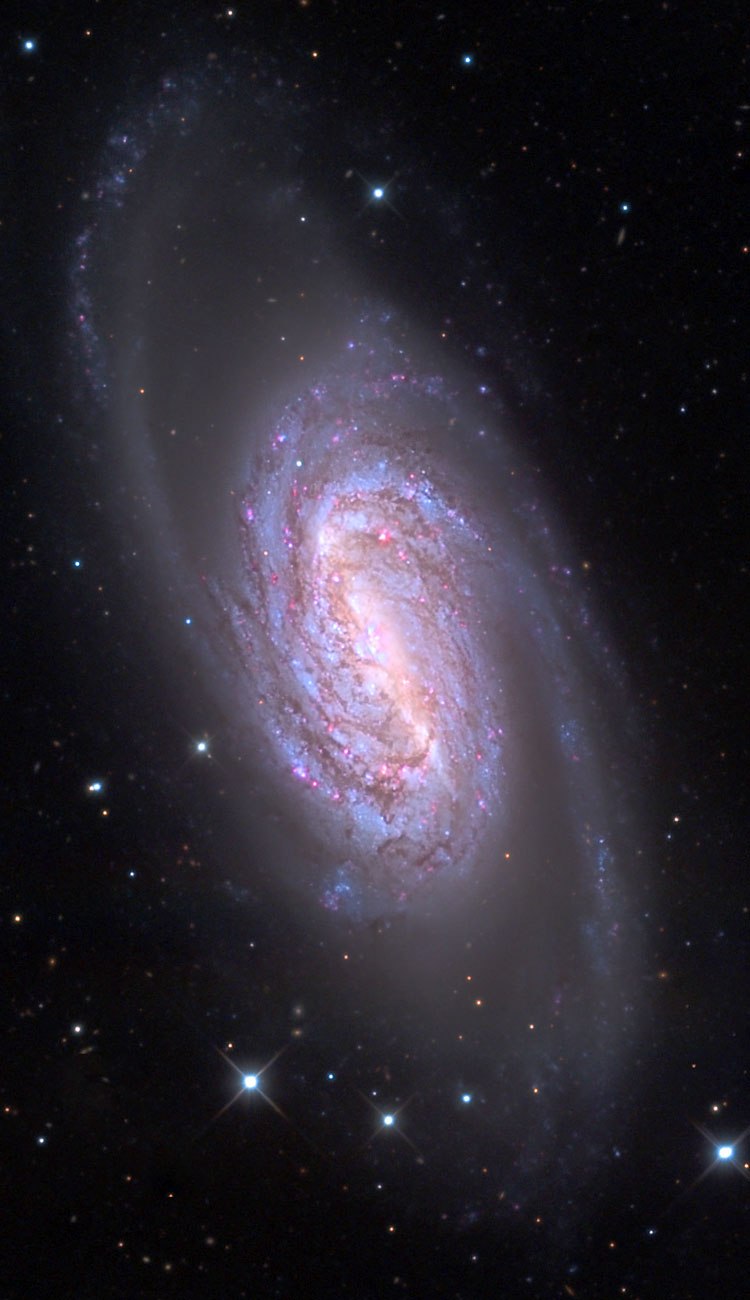 Mount Lemmon SkyCenter image of spiral galaxy NGC 2903
