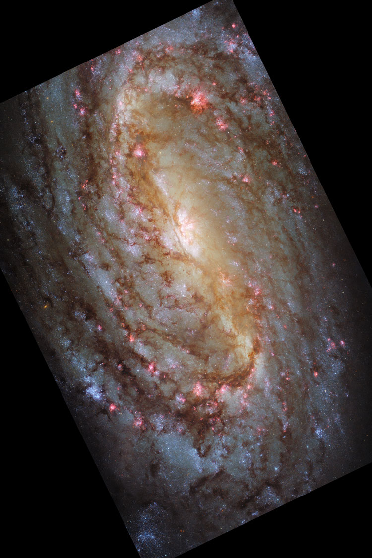 2021 HST image of central portion of spiral galaxy NGC 5903