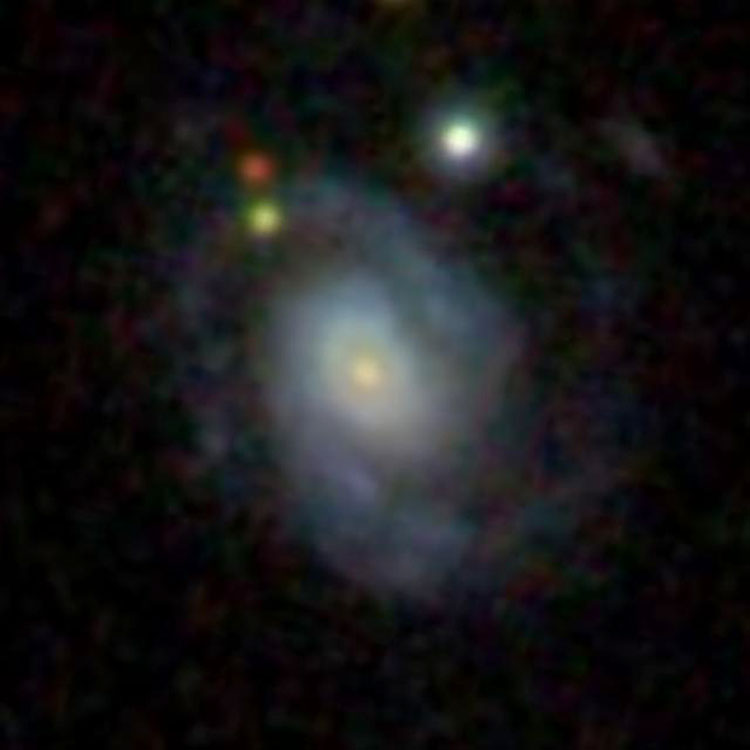 SDSS image of spiral galaxy NGC 2923