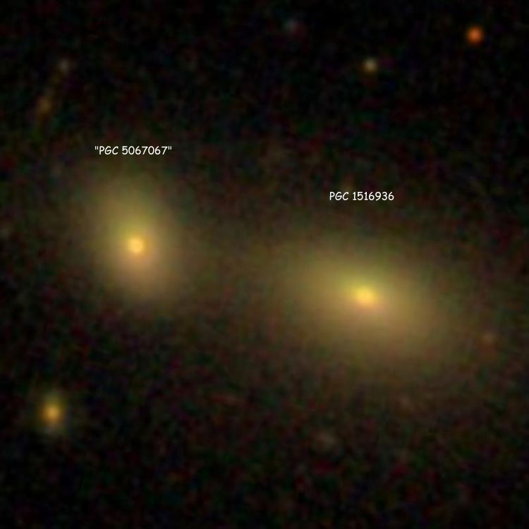 SDSS image of the pair of lenticular galaxies listed as NGC 2949