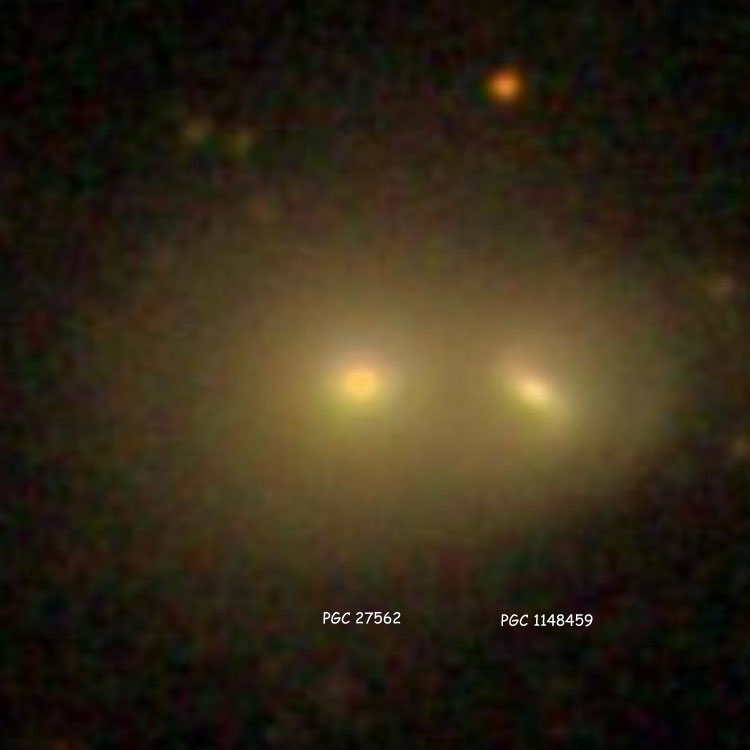 SDSS image of elliptical galaxy PGC 27562 and lenticular galaxy PGC 1148459, which comprise NGC 2951